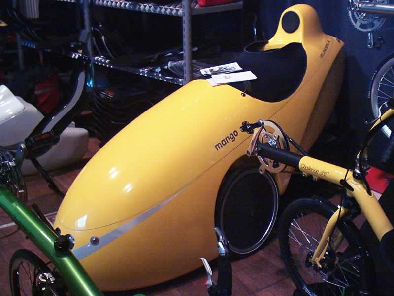 Mango